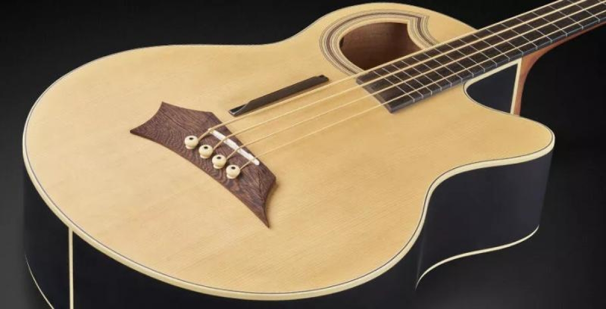 Warwick RB Alien Standard 4 NT